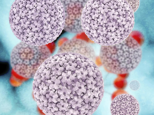 Papillomavirus nə ilə təhlükəlidir? HPV (Human Papillomavirus)